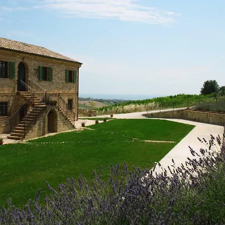 Agriturismo La Corte-2